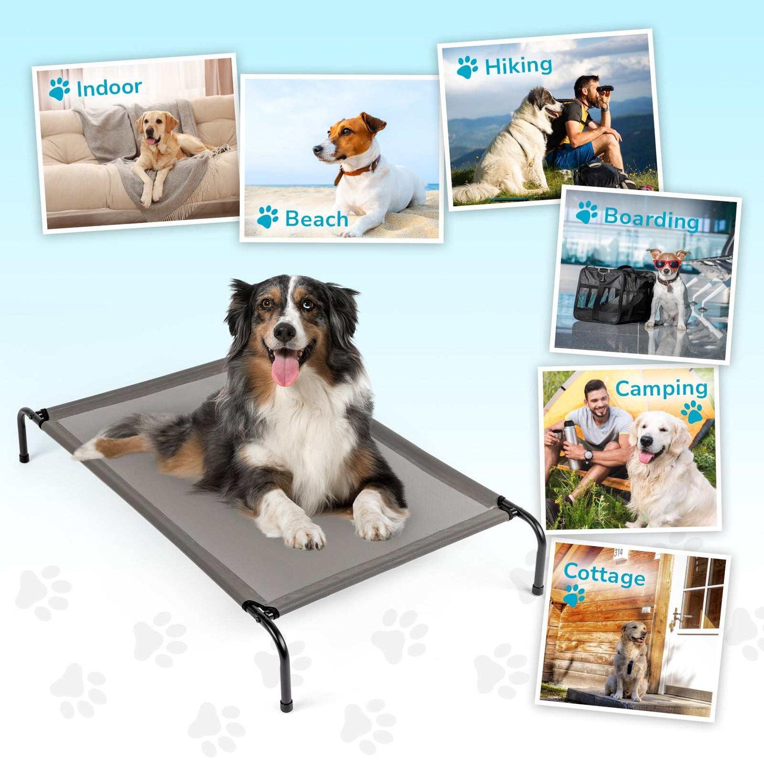 Pet Beds null