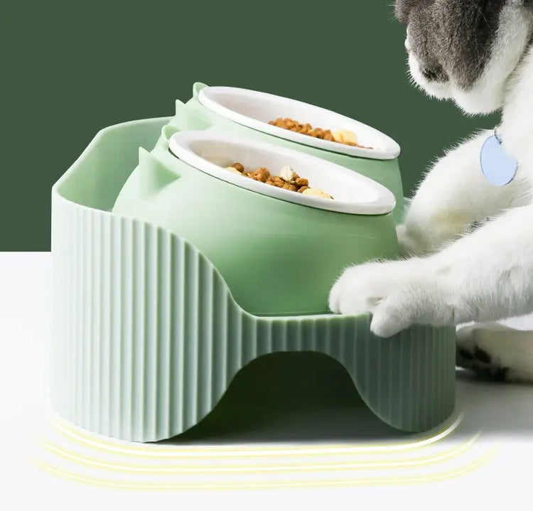 Pet Feeding