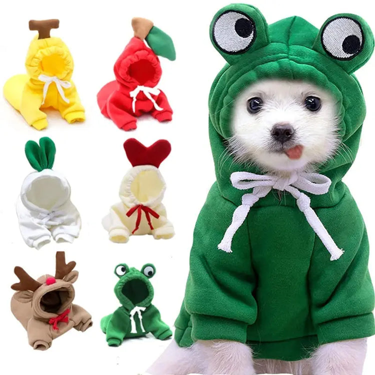 Pet Apparel