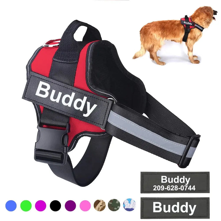 Pet Collar & Harness