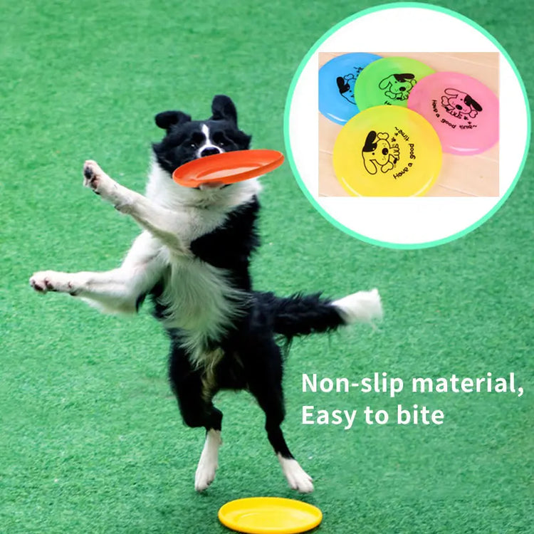Pet Toys