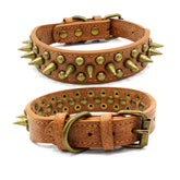 Close-up of bronze pointed rivet pet collar made of PU with zinc alloy and bronze hardware