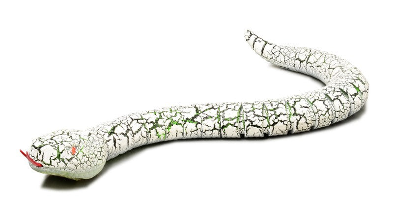 Snake-shaped remote control toy with USB charging cable and battery pack on white background