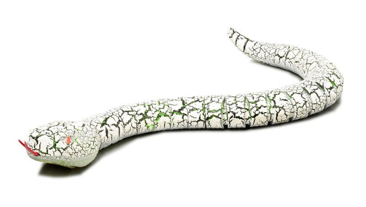 Snake-shaped remote control toy with USB charging cable and battery pack on white background