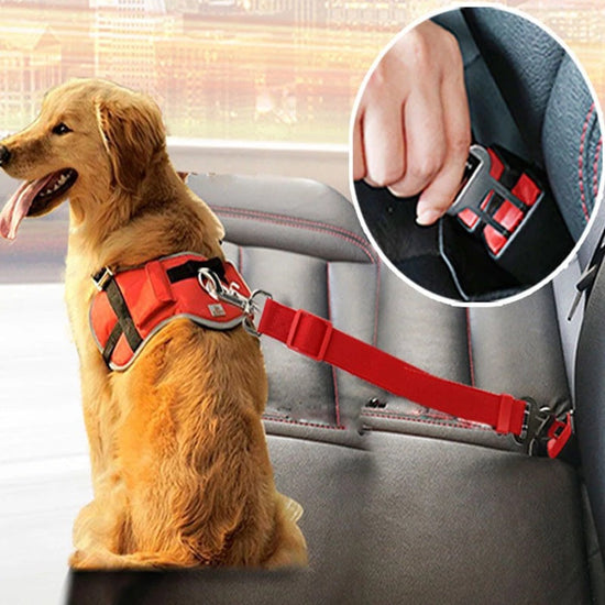 Adjustable pet car seat belt with nylon fabric and metal buckles for dog and cat safety in vehicle