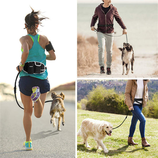 Hands-free dog training leash waist bag with snack and water cup storage pockets