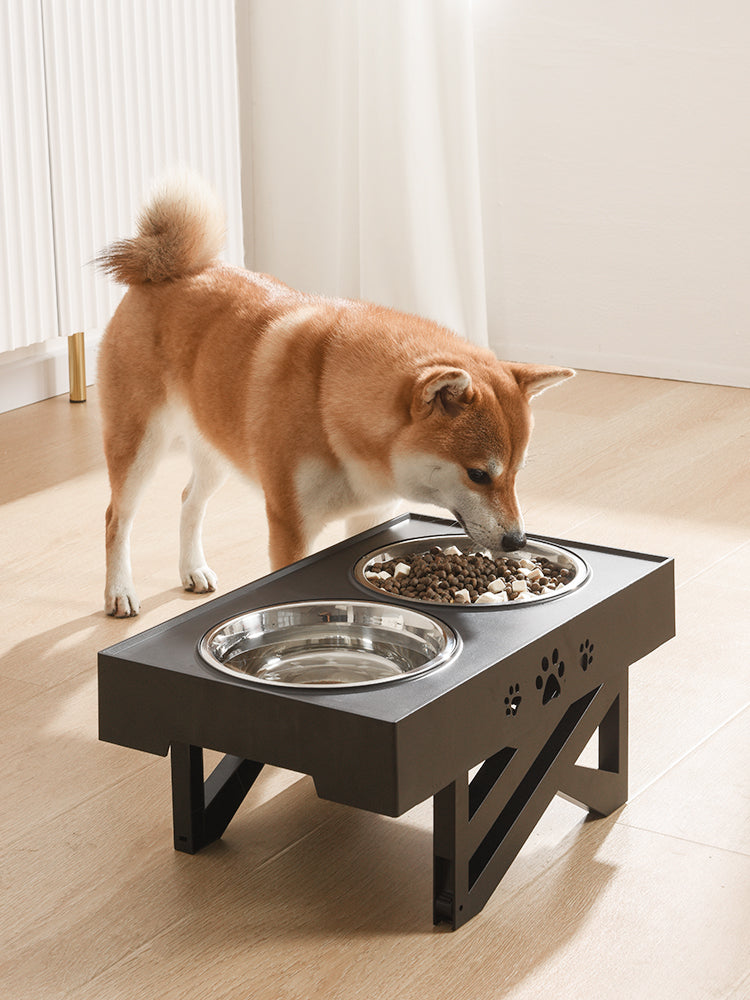 Black plastic folding pet bowl for dogs and cats