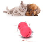 LED Laser Electronic Rolling Pet Funny Cat Toy Ball null