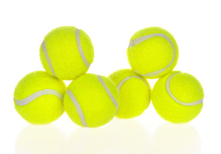 Dog Pet Automatic Interactive Ball Launcher null