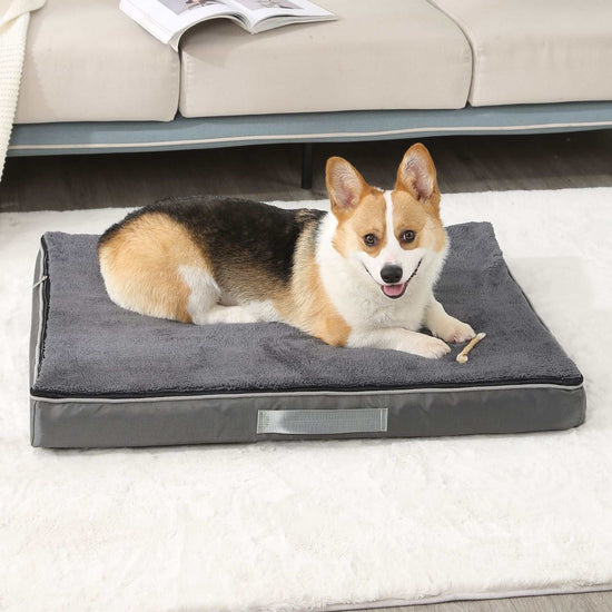Plush memory foam big pet bed for large dogs with removable washable mattress and nonslip base