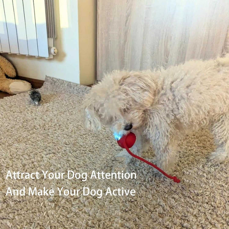 Rolling Ball Ball For Dogs Doggie Ball Interactive Dog Smart Ball Toy Interactive Cat Ball Toy 360  Smart Automatic Rolling Pet Ball null
