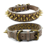 Bronze pointed rivet pet collar made of PU with zinc alloy and bronze hardware materials