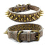 Bronze pointed rivet pet collar made of PU with zinc alloy and bronze hardware materials