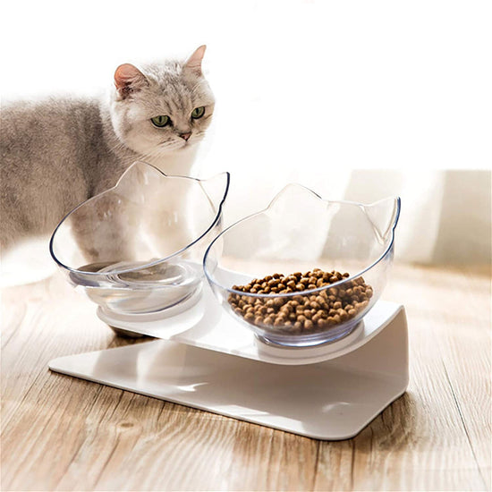 Transparent non slip double cat bowl with raised stand and 15-degree tilt for pet neck protection