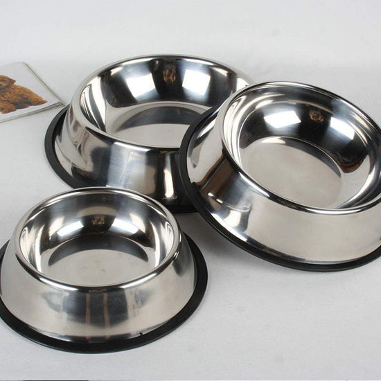 Set of classic stainless steel bowls for pet feeding in various sizes