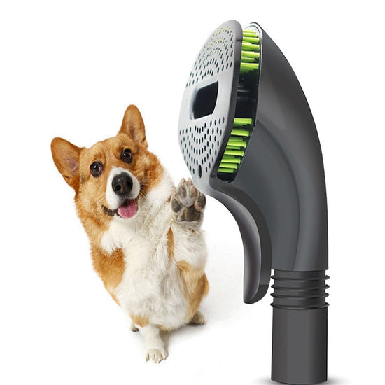 Black and green pet grooming brush with TPE bristles for loose puppy hair cleaning