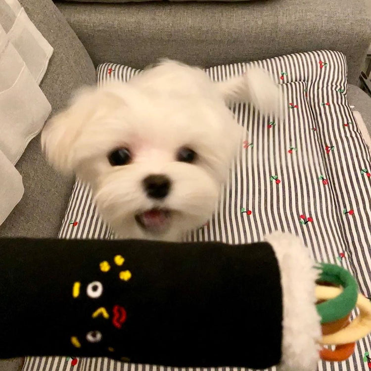 Plush Tibetan pet hidden food toys shaped like seaweed rice balls