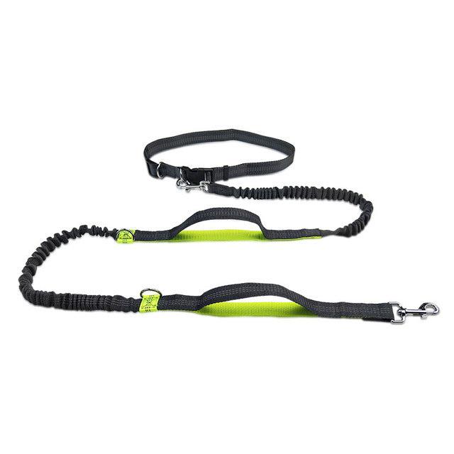 Fluorescent nylon harness collar jogging adjustable pet leash in green, orange, and light blue colors