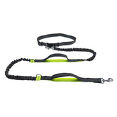 Fluorescent nylon harness collar jogging adjustable pet leash in green, orange, and light blue colors