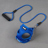 Blue and red mesh dog leash and collar set with foam handle for small dogs