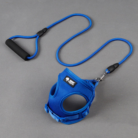 Blue and red mesh dog leash and collar set with foam handle for small dogs
