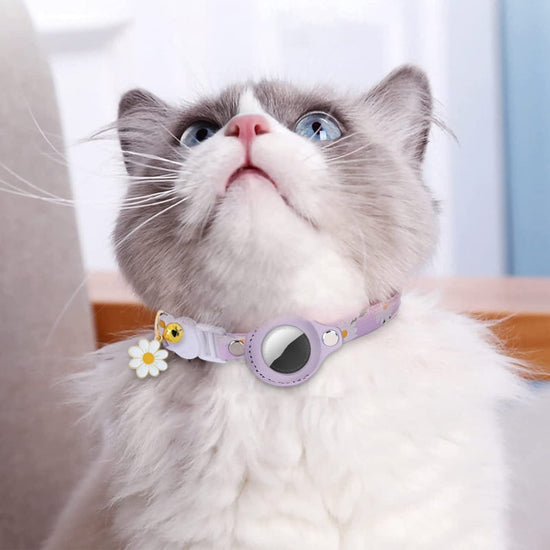 Colorful anti loss small pet collars in yellow, green, purple, and pink made of PU material.
