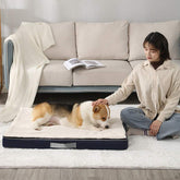 Plush big pet bed with memory foam, removable washable mattress, nonslip bottom for large dogs and cats