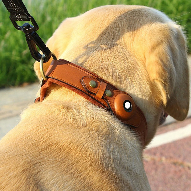 Black leather dog collar with location tracker and adjustable sizes S to L