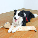 Poached Bunny plush PetZen Sniff & Bite Training Toy for dogs, soundmaking and resistant to biting