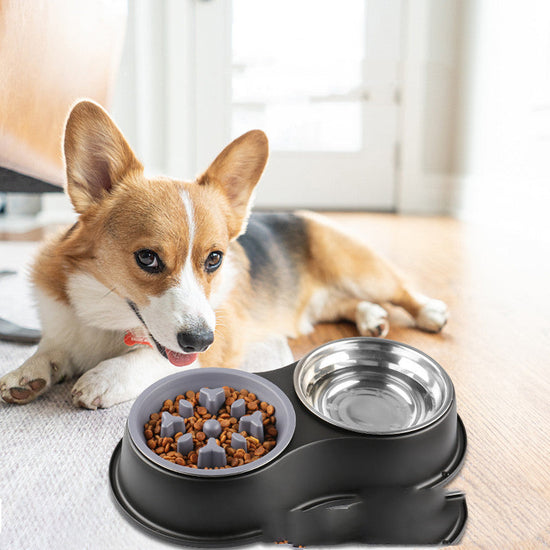 Colorful Pet Slow Feeding Bowl made of stainless steel and PP for dogs and cats