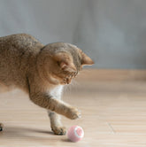 Blue automatic moving bouncing rolling ball smart cat toy for indoor kittens