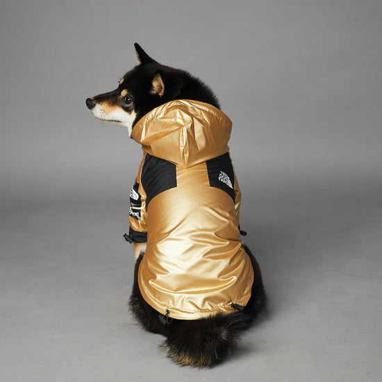 Golden large dog raincoat polyester pet jacket in multiple sizes