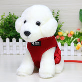 Dog leash dog leash dog collar null