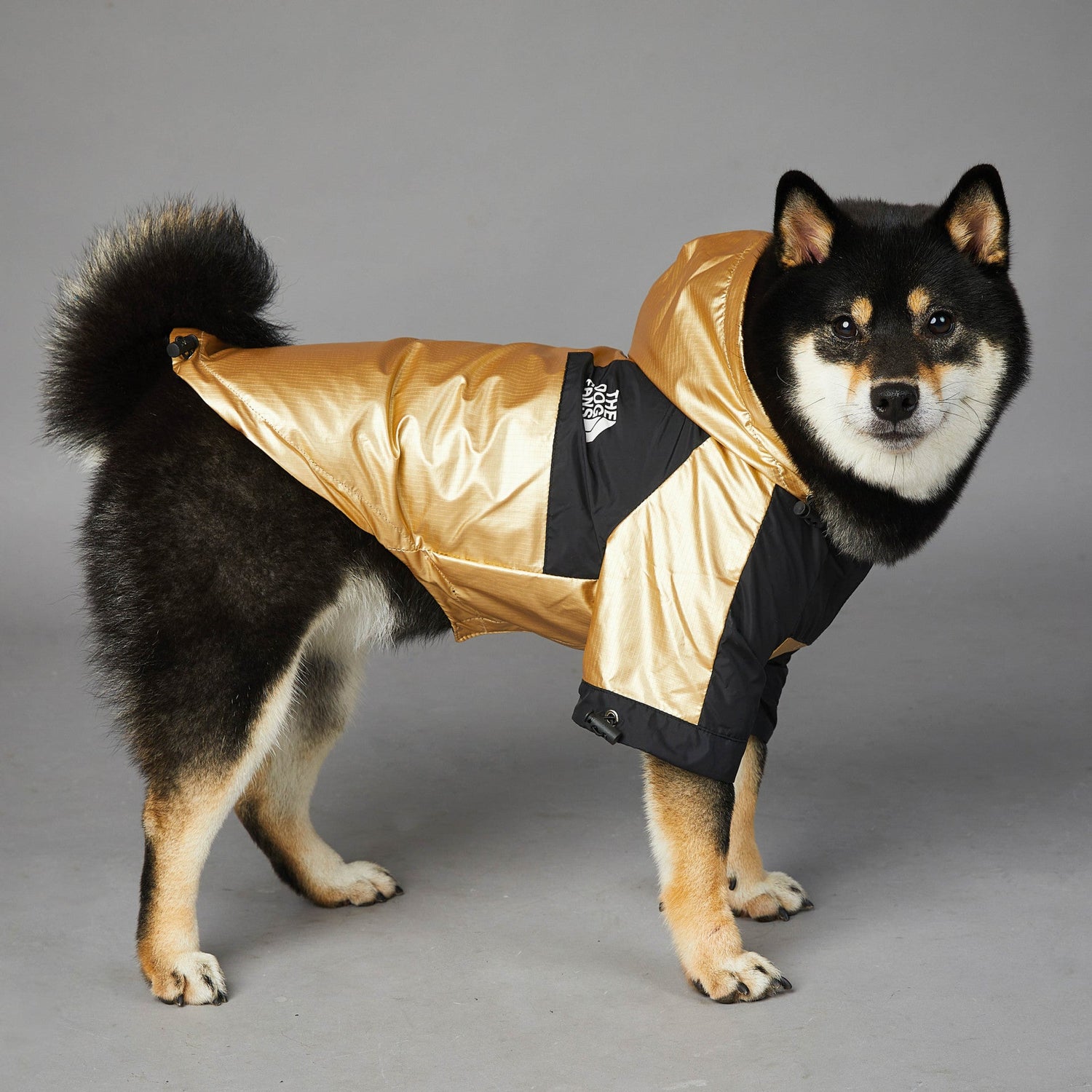 large golden dog raincoat polyester pet jacket