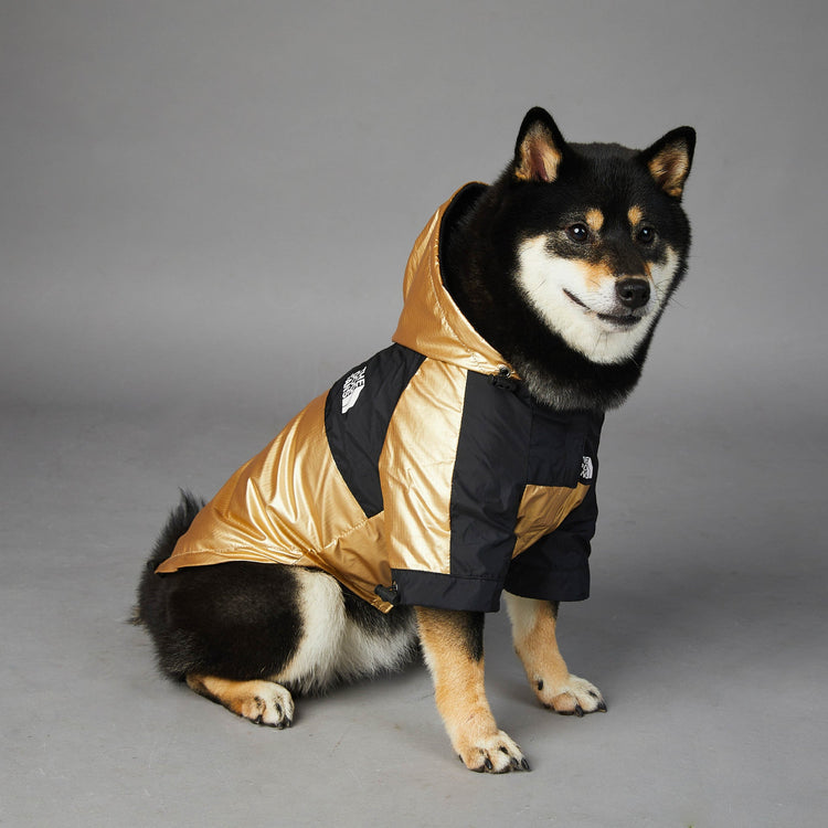 Golden large dog raincoat polyester pet jacket in various sizes