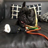 Plush Tibetan pet hidden food toy shaped like seaweed rice