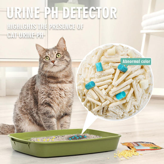 Close-up of cat litter particles for self checking use