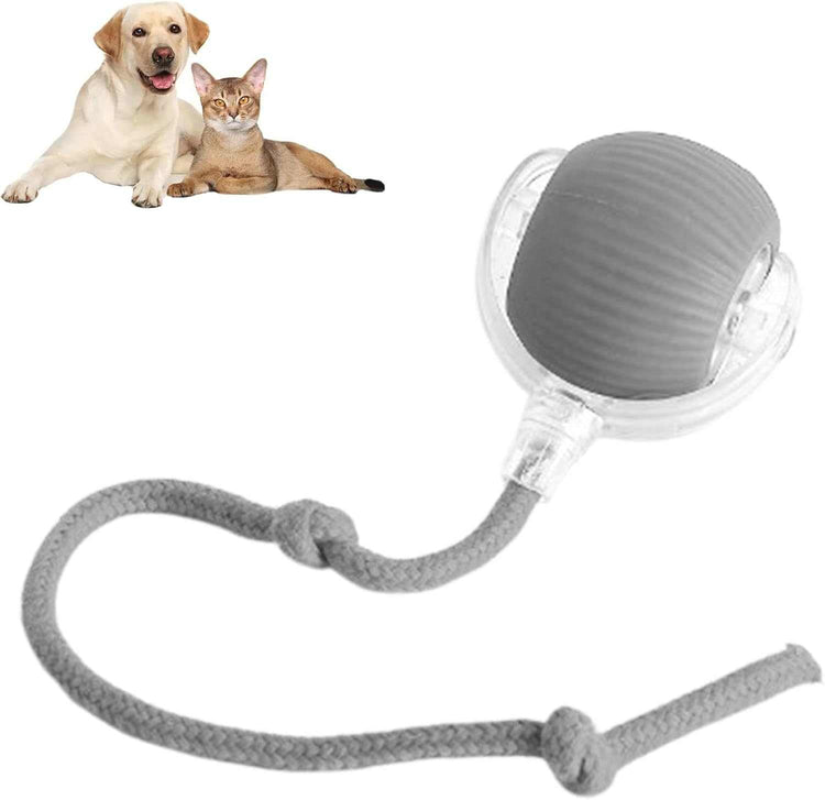 Rolling Ball Ball For Dogs Doggie Ball Interactive Dog Smart Ball Toy Interactive Cat Ball Toy 360  Smart Automatic Rolling Pet Ball null