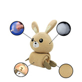 PetZen Poached Bunny Sniff & Bite Training Toy plush soundmaking resistant to biting and grinding teeth