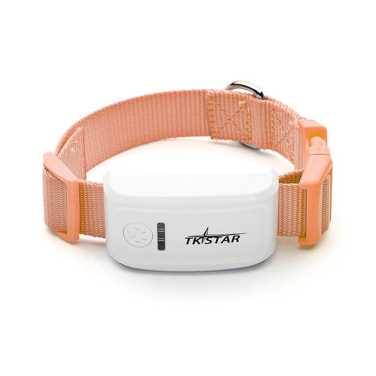 Compact Cat GPS tracker device with real-time location and geofence alerts for pets