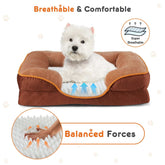 Memory foam pet bed with washable cover and non-slip base for small dogs and cats