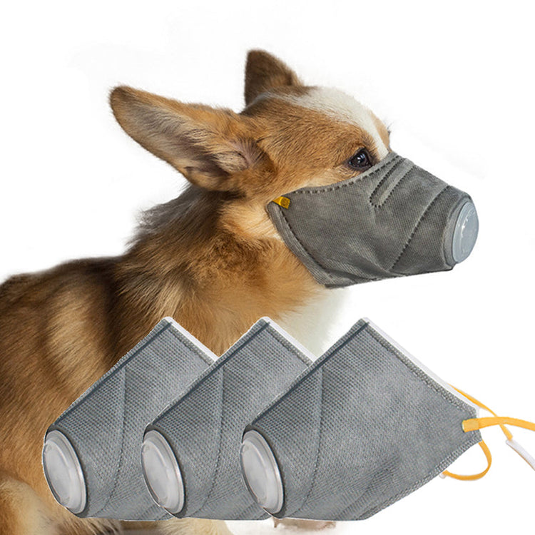 Gray dogs anti-fog haze masks with PM2.5 filter for respiratory protection