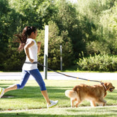 Adjustable fluorescent nylon harness collar jogging leash for pets in green, orange, and blue colors