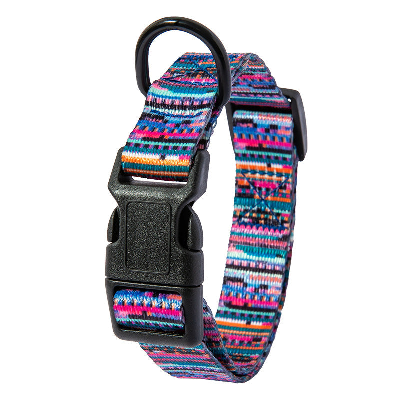 Colorful dog collar and leash set for pets in various sizes and designs