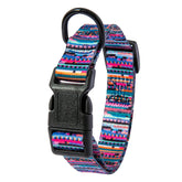 Colorful dog collar and leash set for pets in various sizes and designs