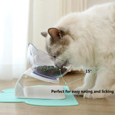 Non Slip Double Cat Bowl With Raised Stand Pet Food Cat Feeder Protect Cervical Vertebra Dog Bowl Transparent Pet Products null