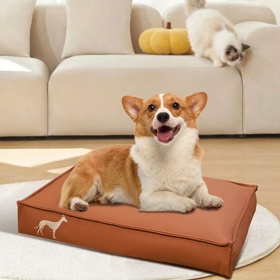 Silver gray waterproof removable pet bed and cat litter mat with scratch-resistant cloth material