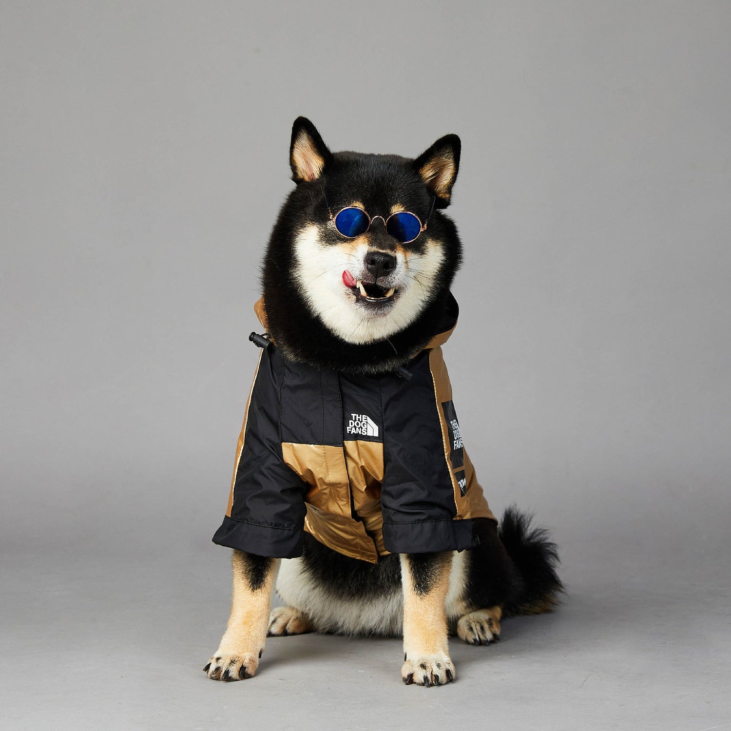 Large golden polyester dog raincoat jacket for pets in multiple sizes