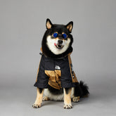 Large golden polyester dog raincoat jacket for pets in multiple sizes