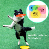 Silicone Flying Saucer Funny Pets Dog Cat Toy Dog Game Flying Discs Resistant Chew Puppy Training Interactive Pet Supplies null